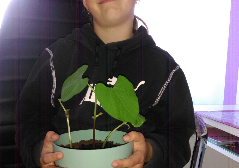 2a sadzi rośliny w ogródku